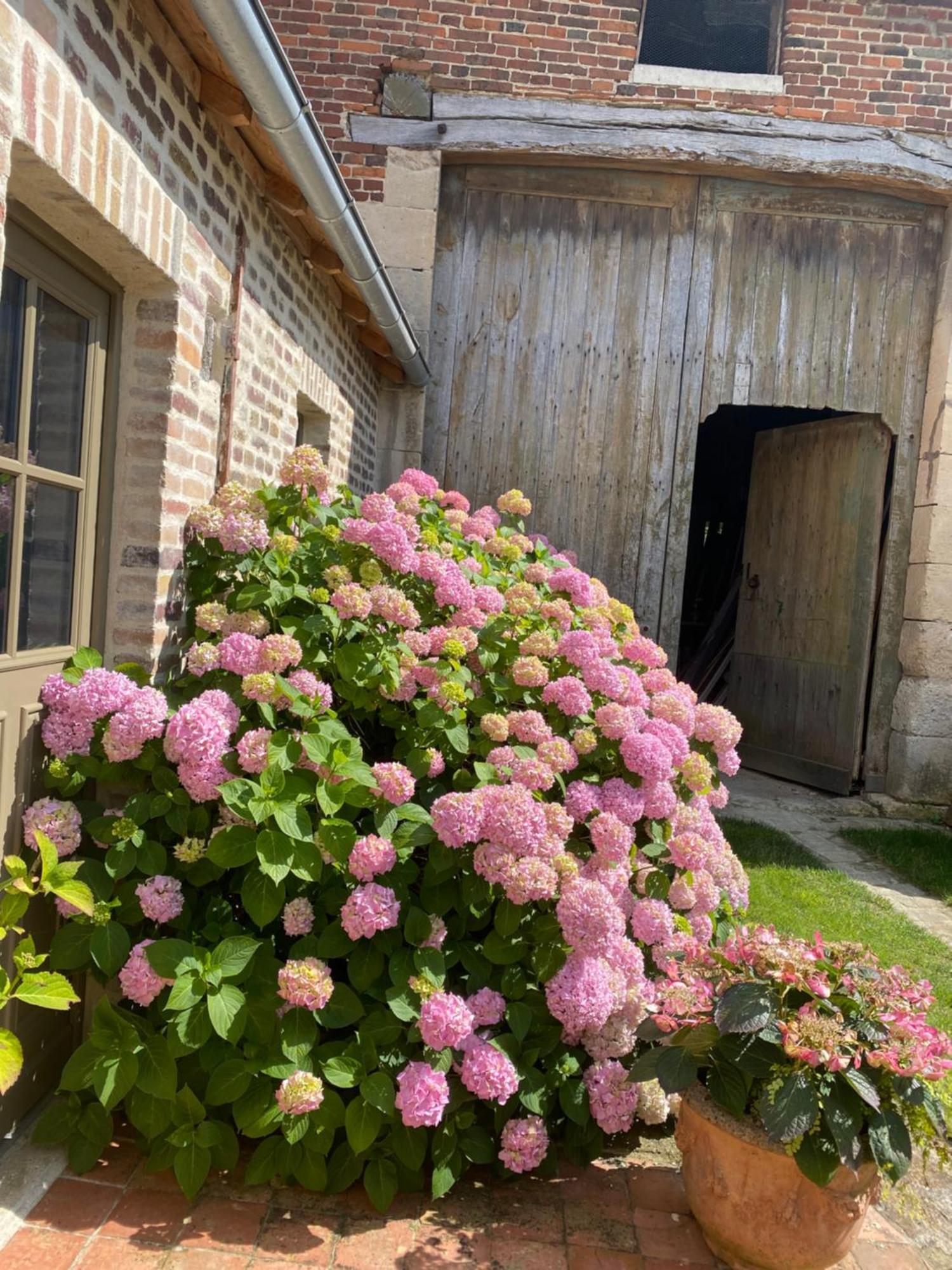 Les Hortensias Canly Exteriér fotografie
